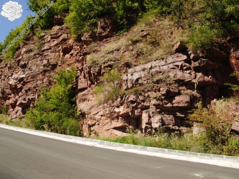 heuffelii from Opletnya, W