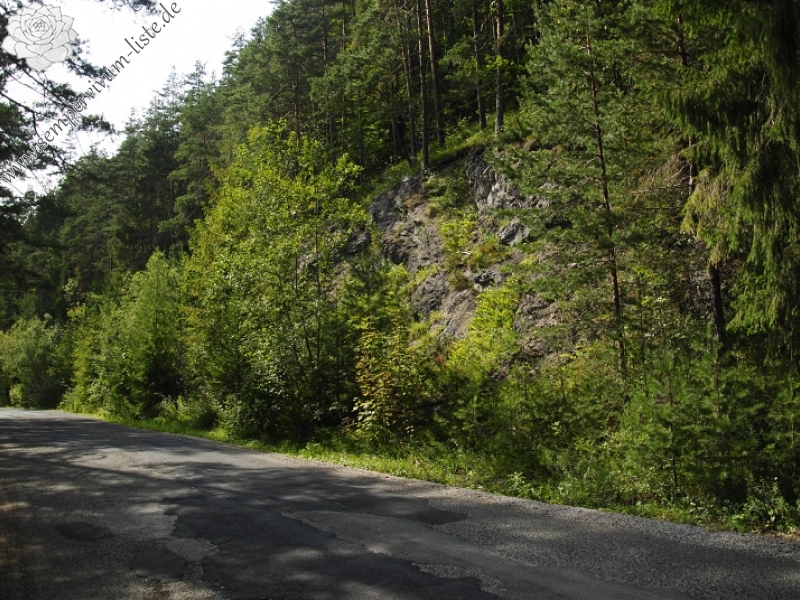globiferum ssp. hirtum from Podlesok, Okrúhly vrch