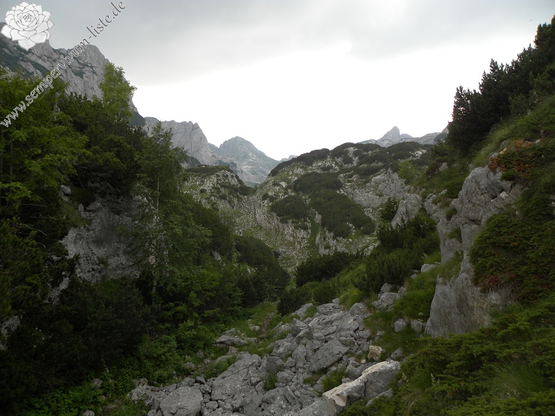 marmoreum from Brojišta