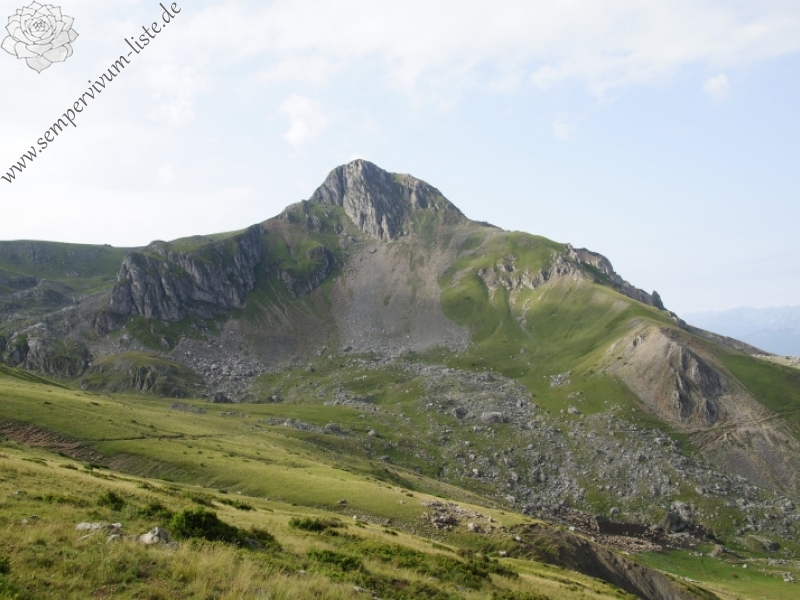 sp. from Bijak Dorok, O Abhang