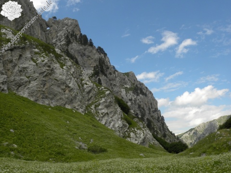 kosaninii from Vojuša