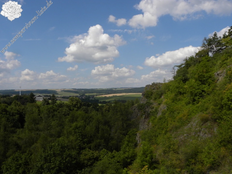 globiferum ssp. globiferum from Preitenštejn