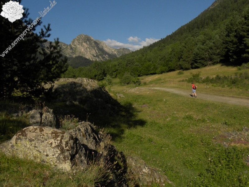 arachnoideum from Sant Maurici, Brücke