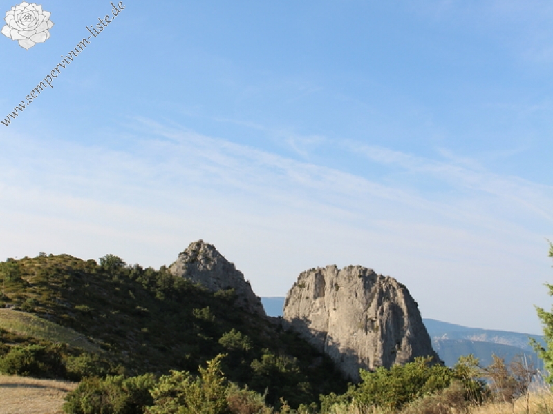 calcareum from Col de Milmandre