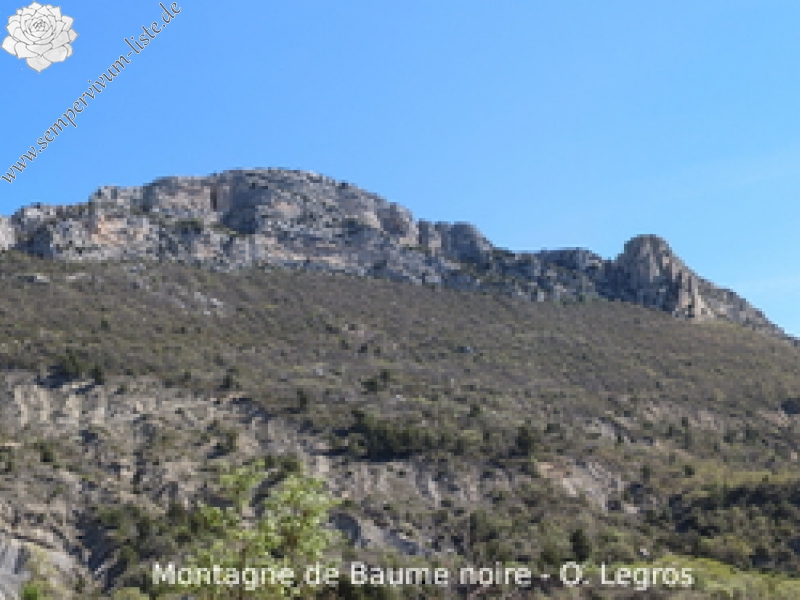 calcareum from Col de la Posterle