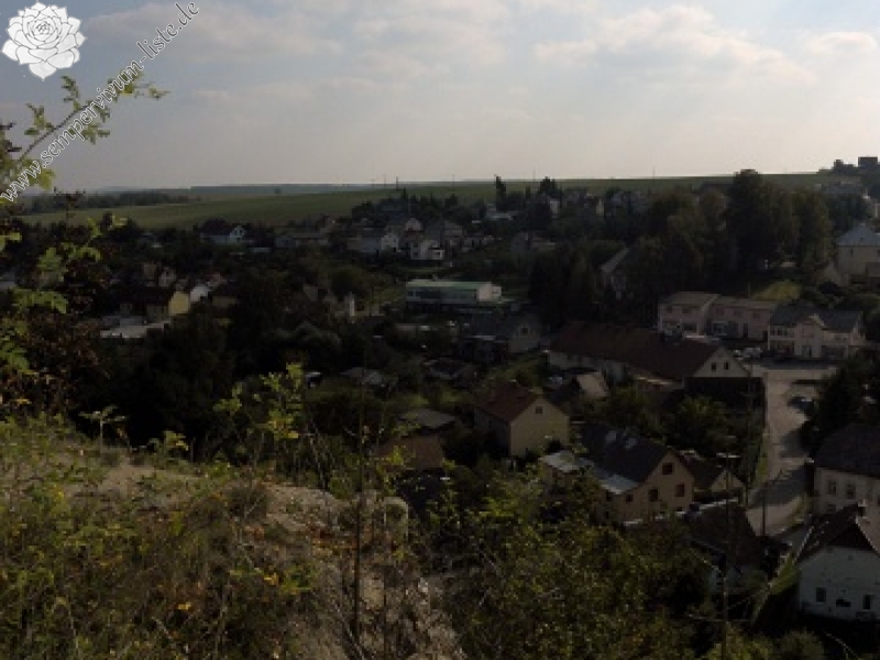 globiferum ssp. globiferum from Dolní Bělá