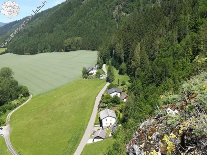 globiferum ssp. hirtum from Pöls