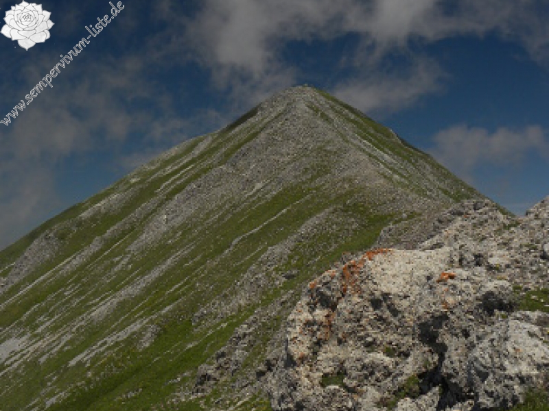 heuffelii (glabrum) from Ljuboten