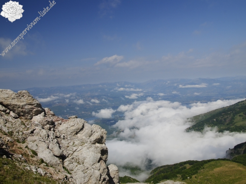 heuffelii from Bijak Dorok, O Abhang
