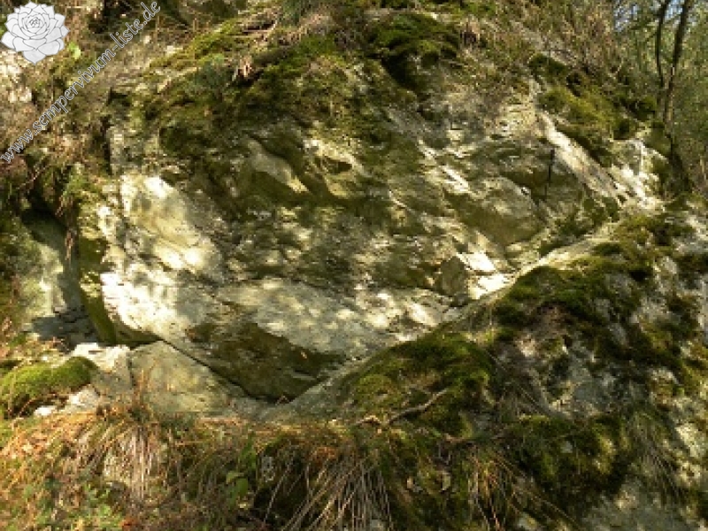 globiferum ssp. globiferum from Horní Liblín