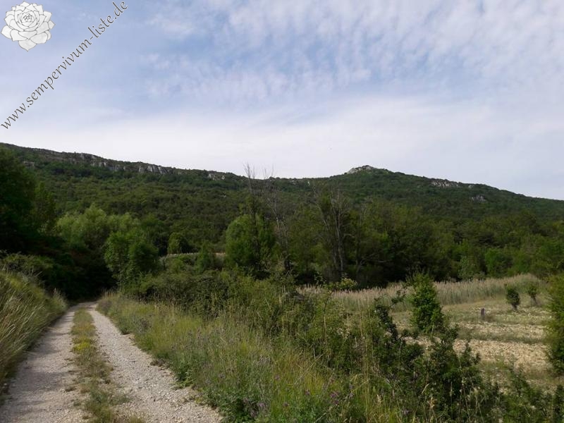 calcareum from Rochers Mindrits