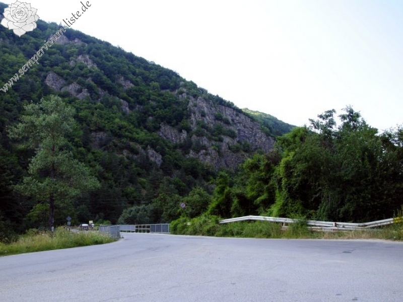 marmoreum ssp. erythraeum from Beli Iskar