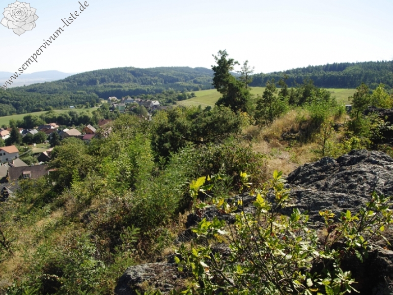 globiferum ssp. globiferum from Svatá