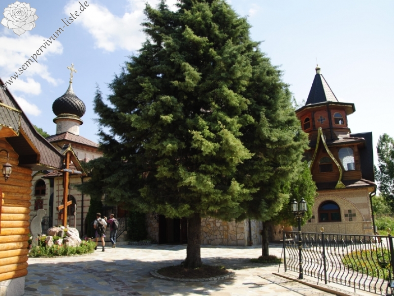 Reisebericht: Lešje, Berg Baba