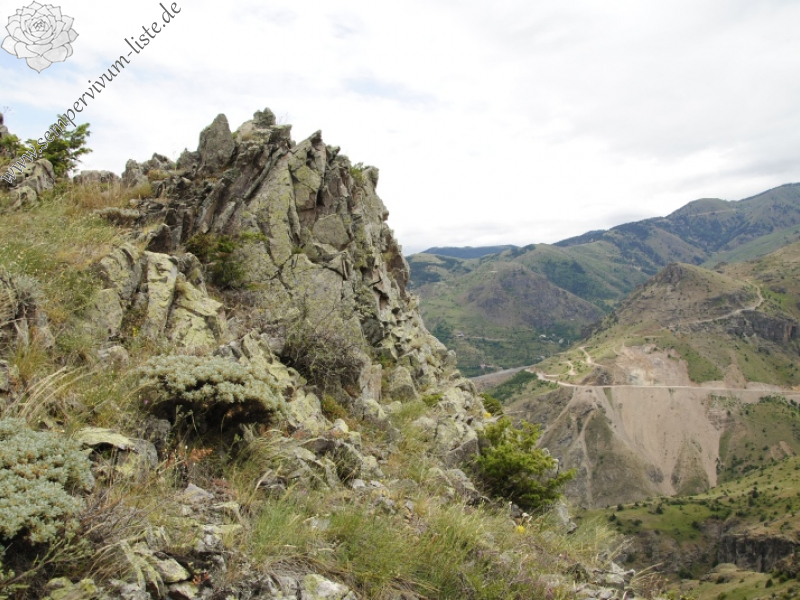 sp. from W von der Festung bei Gümüshane