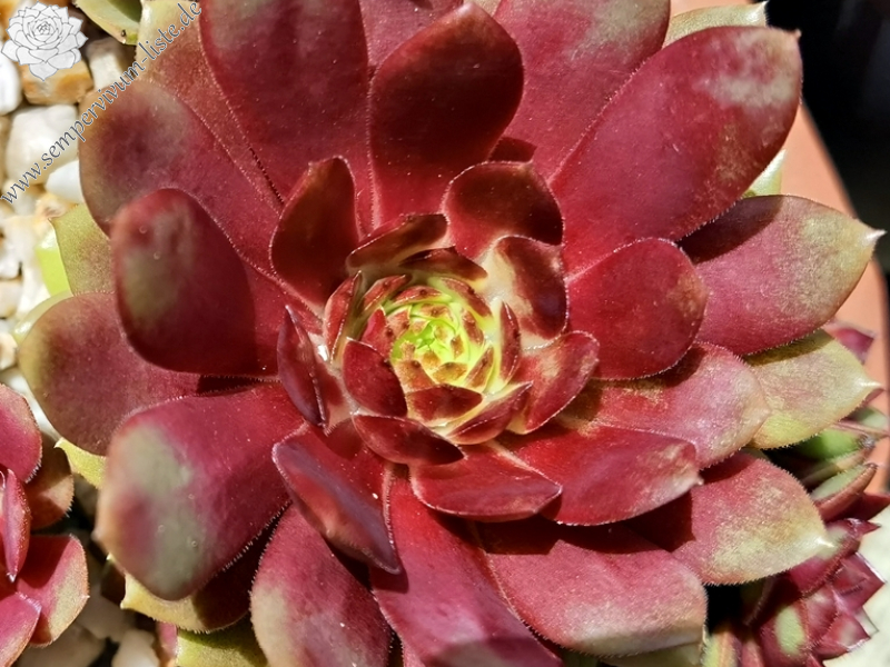 Copper Rockoon