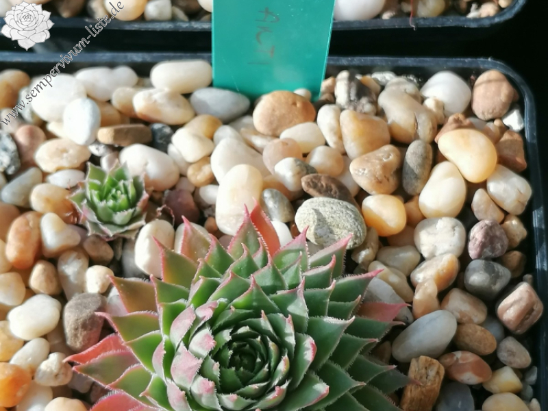 Bild vom Oktober 2023