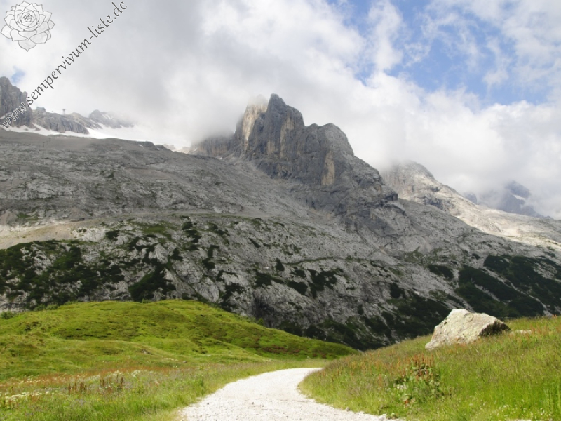 rupicolum from Cian de Stanzón