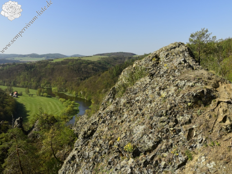globiferum ssp. globiferum from Čertova skála