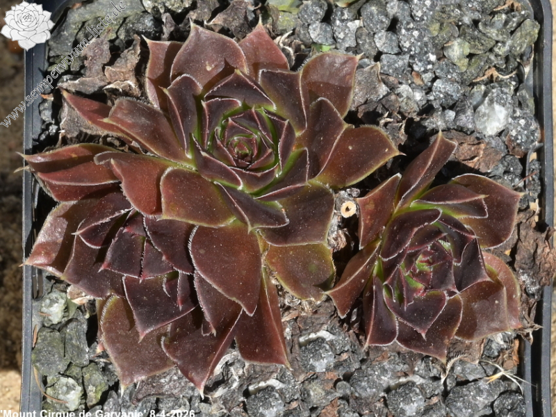 Mount Cirque de Gavarnie / Jovi