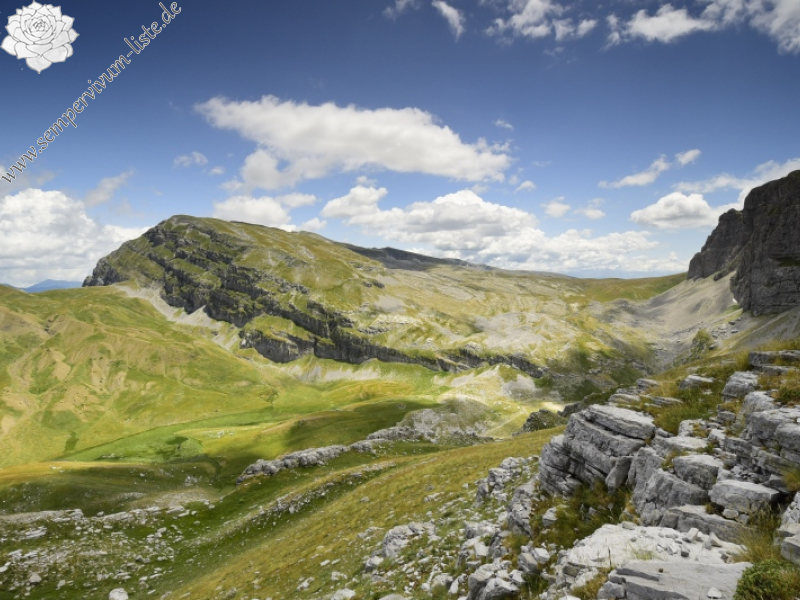 Reisebericht: Koutsomitros, 2
